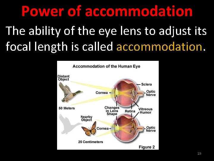 Power of accommodation The ability of the eye lens to adjust its focal length