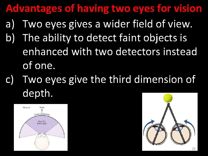 Advantages of having two eyes for vision a) Two eyes gives a wider field