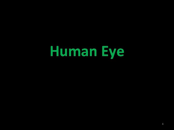 Human Eye 4 