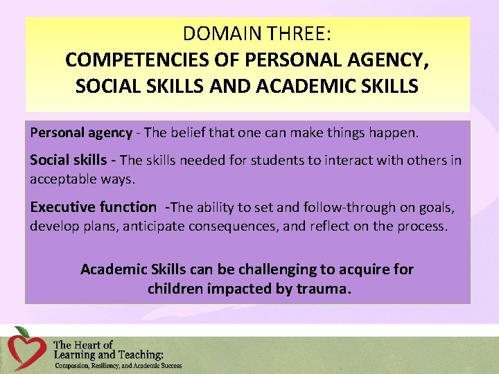 DOMAIN THREE: COMPETENCIES OF PERSONAL AGENCY, SOCIAL SKILLS AND ACADEMIC SKILLS Personal agency -