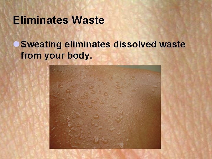 Eliminates Waste l Sweating eliminates dissolved waste from your body. Eliminates Waste l Sweating eliminates dissolved waste from your body.