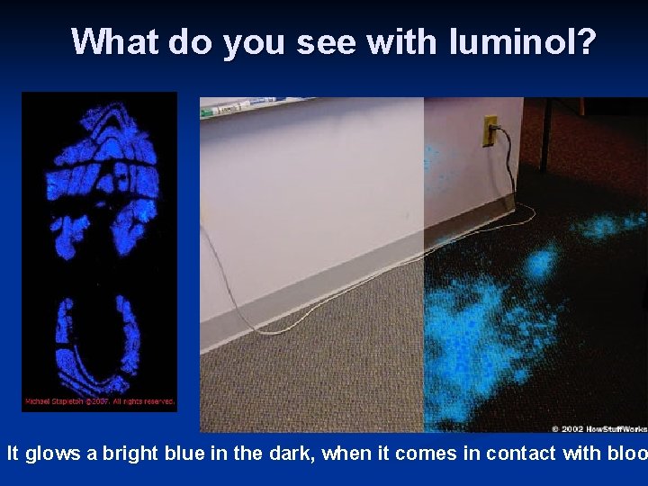 What do you see with luminol? It glows a bright blue in the dark,