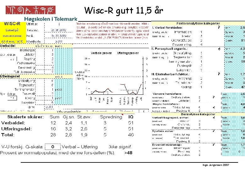 Wisc-R gutt 11, 5 år Inge Jørgensen 2007 