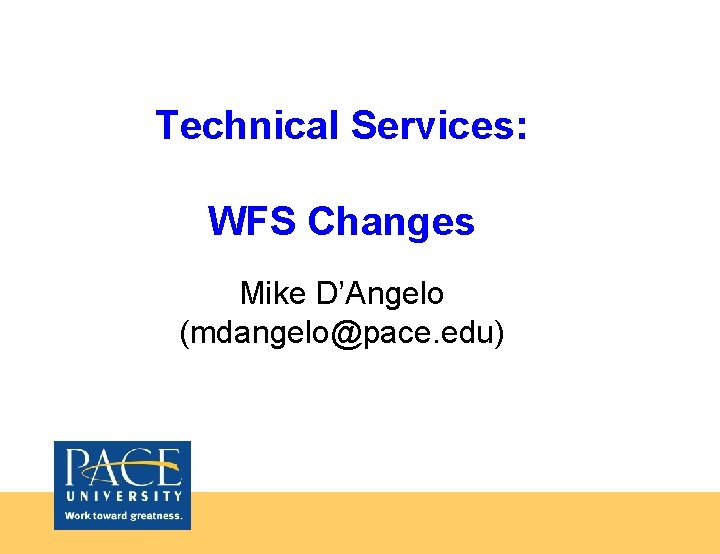 Technical Services: WFS Changes Mike D’Angelo (mdangelo@pace. edu) 