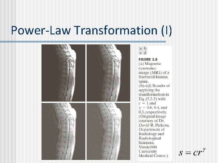 Power-Law Transformation (I) 