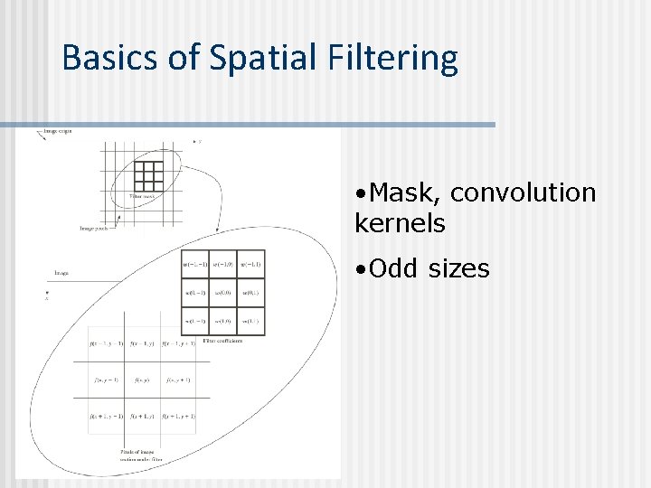 Basics of Spatial Filtering • Mask, convolution kernels • Odd sizes 
