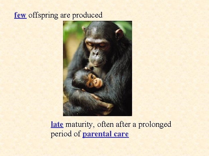 few offspring are produced late maturity, often after a prolonged period of parental care