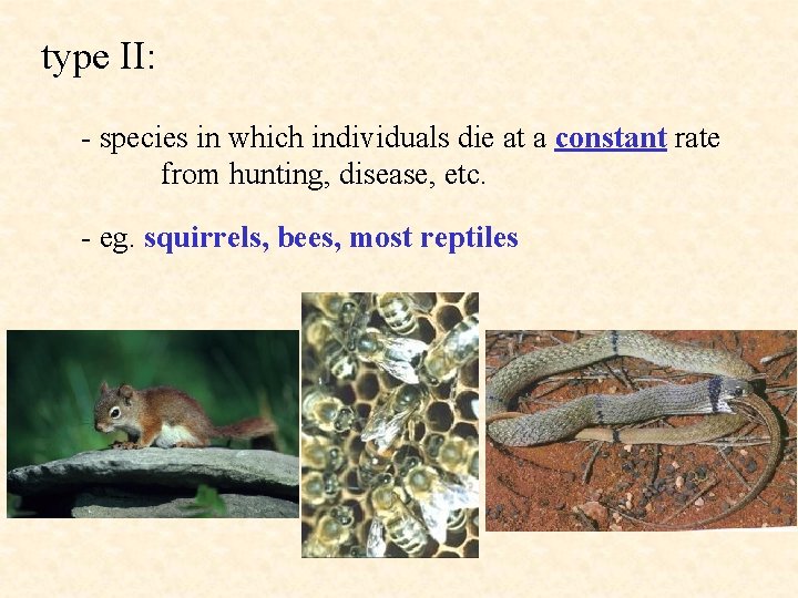 type II: - species in which individuals die at a constant rate from hunting,