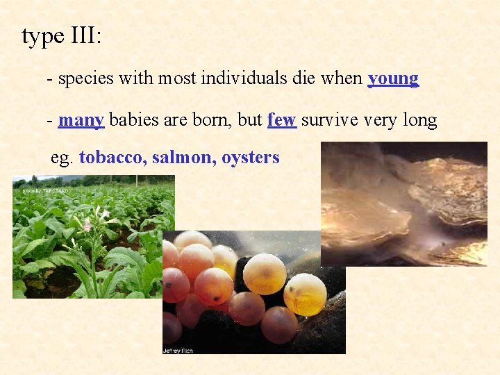 type III: - species with most individuals die when young - many babies are