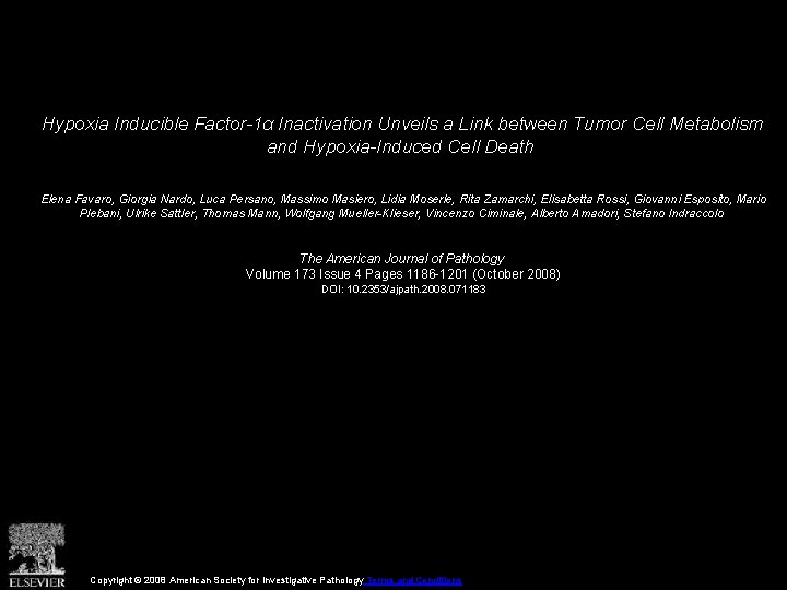 Hypoxia Inducible Factor-1α Inactivation Unveils a Link between Tumor Cell Metabolism and Hypoxia-Induced Cell