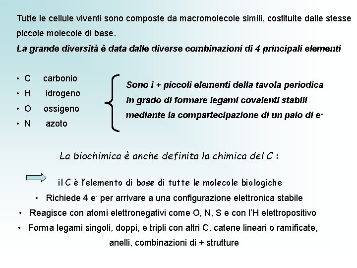 Tutte le cellule viventi sono composte da macromolecole simili, costituite dalle stesse piccole molecole