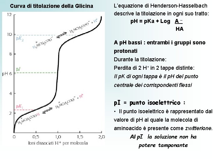 Curva di titolazione della Glicina L’equazione di Henderson-Hasselbach descrive la titolazione in ogni suo