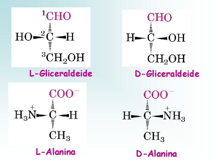 L-Gliceraldeide L-Alanina D-Gliceraldeide D-Alanina 