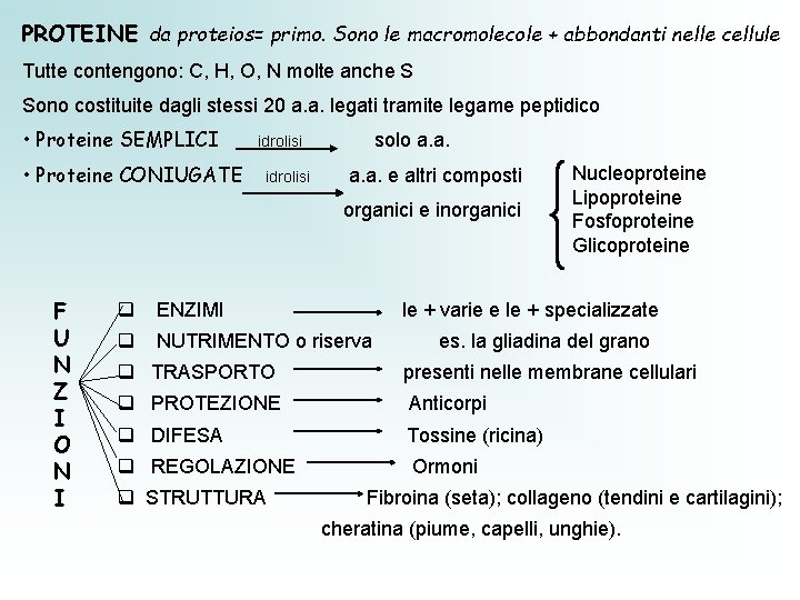 PROTEINE da proteios= primo. Sono le macromolecole + abbondanti nelle cellule Tutte contengono: C,