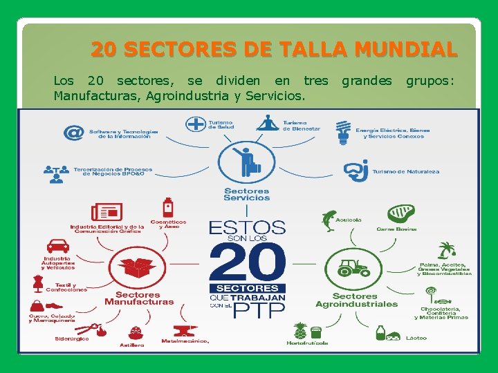 20 SECTORES DE TALLA MUNDIAL Los 20 sectores, se dividen en tres Manufacturas, Agroindustria 20 SECTORES DE TALLA MUNDIAL Los 20 sectores, se dividen en tres Manufacturas, Agroindustria