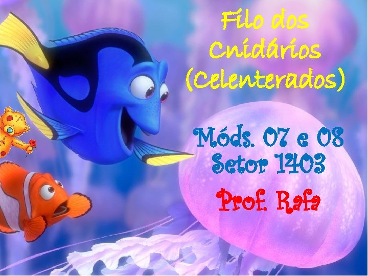 Filo dos Cnidários (Celenterados) Móds. 07 e 08 Setor 1403 Prof. Rafa 