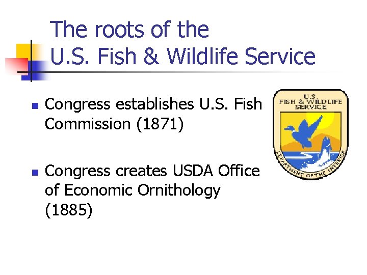 The roots of the U. S. Fish & Wildlife Service n n Congress establishes