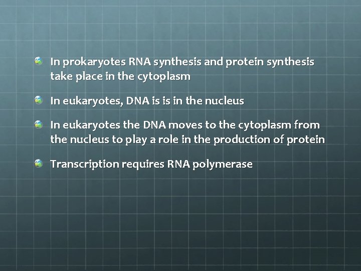 In prokaryotes RNA synthesis and protein synthesis take place in the cytoplasm In eukaryotes,