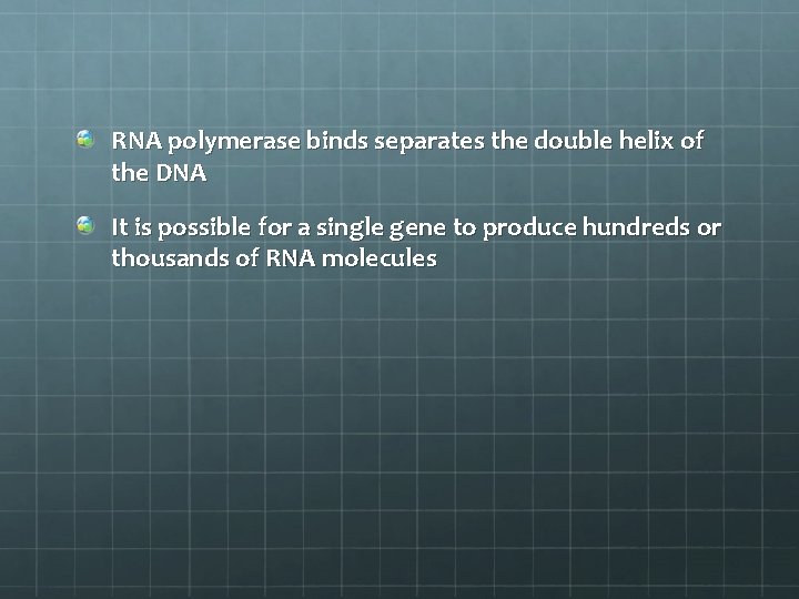 RNA polymerase binds separates the double helix of the DNA It is possible for