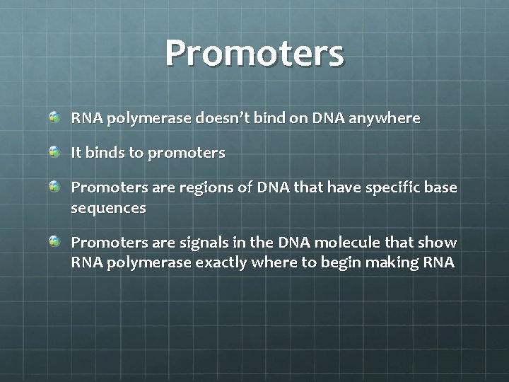 Promoters RNA polymerase doesn’t bind on DNA anywhere It binds to promoters Promoters are