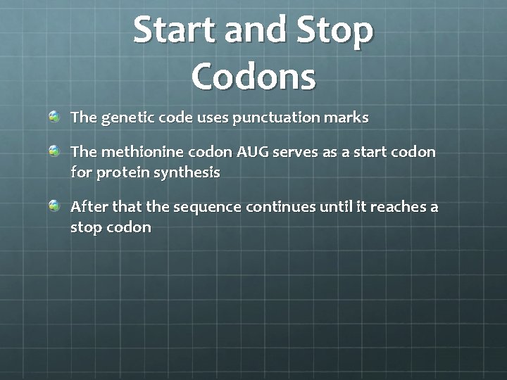 Start and Stop Codons The genetic code uses punctuation marks The methionine codon AUG