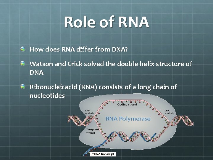 Role of RNA How does RNA differ from DNA? Watson and Crick solved the