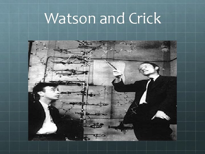 Watson and Crick 