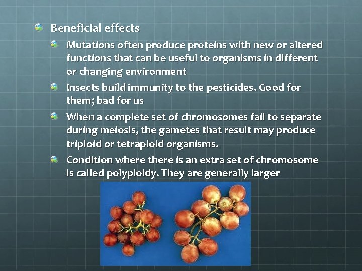 Beneficial effects Mutations often produce proteins with new or altered functions that can be