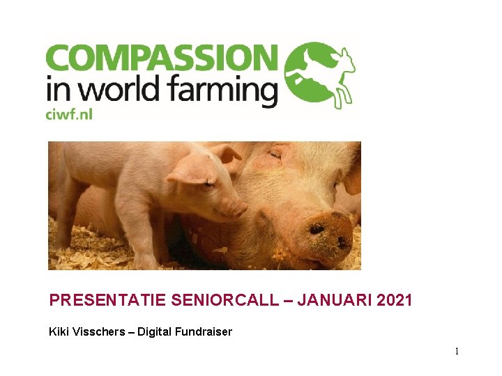 PRESENTATIE SENIORCALL – JANUARI 2021 Kiki Visschers – Digital Fundraiser 1 