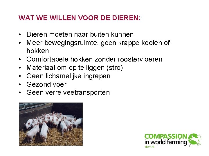 WAT WE WILLEN VOOR DE DIEREN: • Dieren moeten naar buiten kunnen • Meer