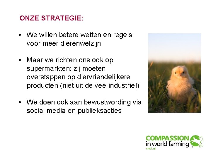 ONZE STRATEGIE: • We willen betere wetten en regels voor meer dierenwelzijn • Maar