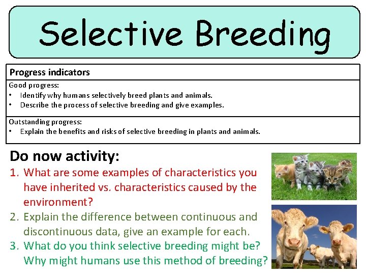 Selective Breeding Progress indicators Good progress: • Identify why humans selectively breed plants and