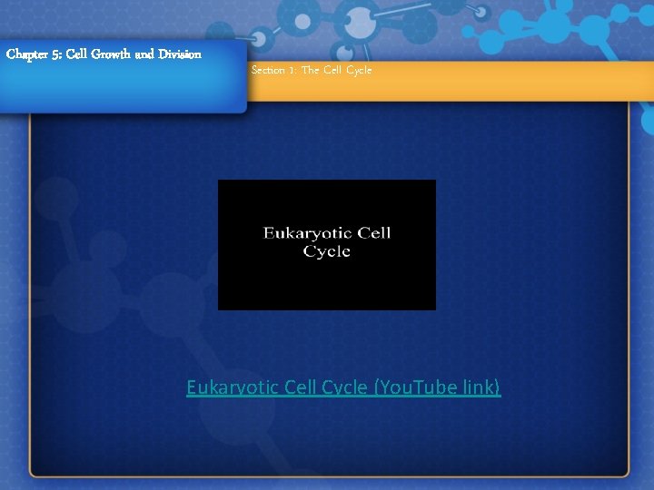 Chapter 5: Cell Growth and Division Section 1: The Cell Cycle Eukaryotic Cell Cycle