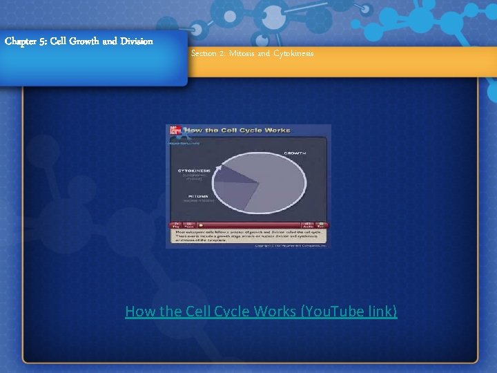 Chapter 5: Cell Growth and Division Section 2: Mitosis and Cytokinesis How the Cell