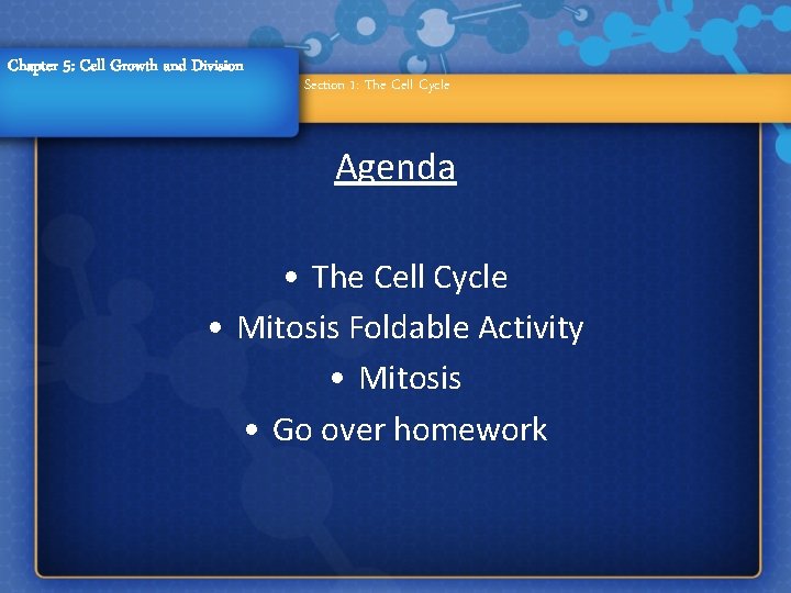 Chapter 5: Cell Growth and Division Section 1: The Cell Cycle Agenda • The