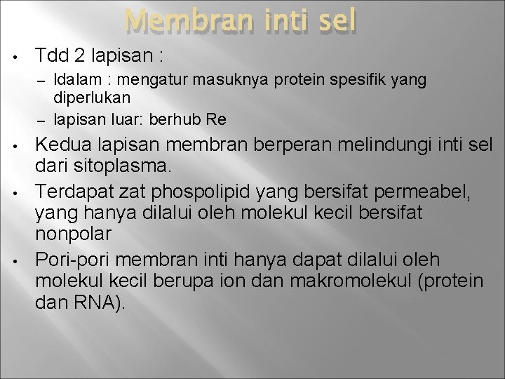 Membran inti sel • Tdd 2 lapisan : ldalam : mengatur masuknya protein spesifik