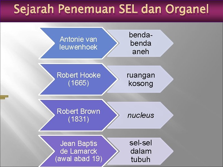 Sejarah Penemuan SEL dan Organel Antonie van leuwenhoek benda aneh Robert Hooke (1665) ruangan