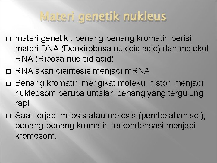 Materi genetik nukleus � � materi genetik : benang-benang kromatin berisi materi DNA (Deoxirobosa