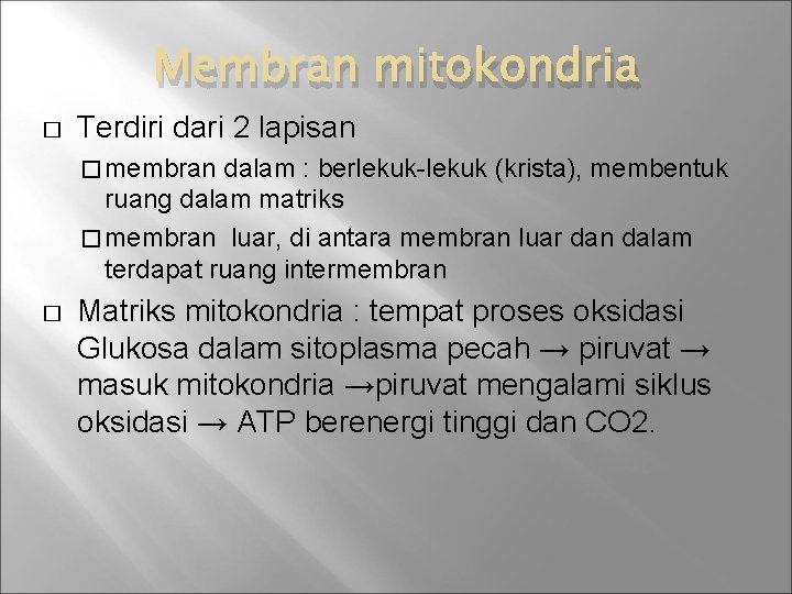 Membran mitokondria � Terdiri dari 2 lapisan � membran dalam : berlekuk-lekuk (krista), membentuk