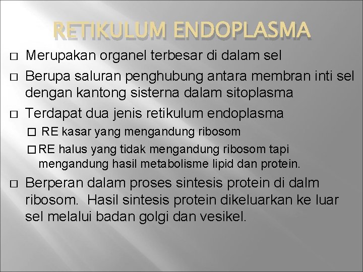 RETIKULUM ENDOPLASMA � � � Merupakan organel terbesar di dalam sel Berupa saluran penghubung