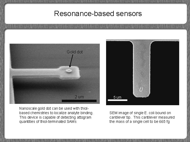Resonance-based sensors Gold dot 2 um Nanoscale gold dot can be used with thiolbased