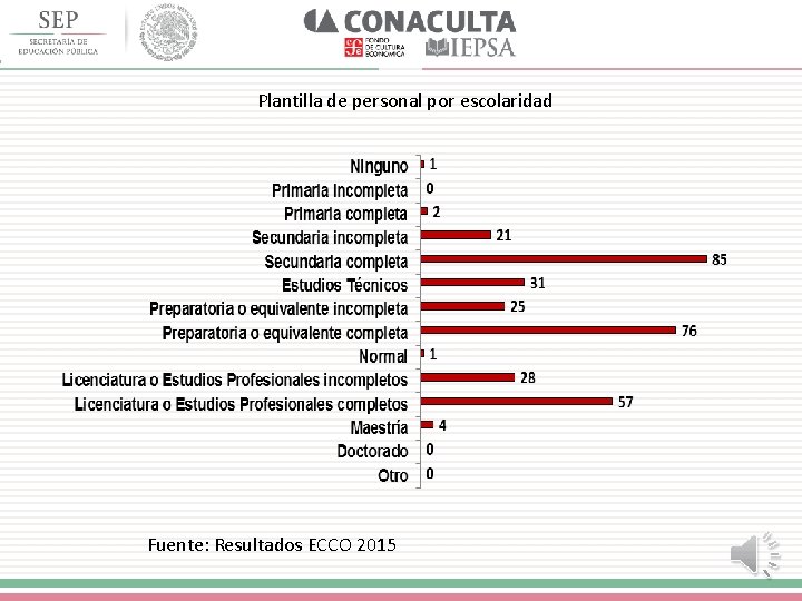 Plantilla de personal por escolaridad Fuente: Resultados ECCO 2015 