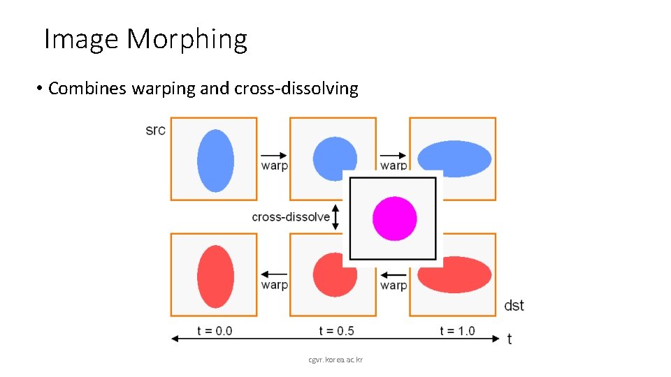 Image Morphing • Combines warping and cross-dissolving cgvr. korea. ac. kr 