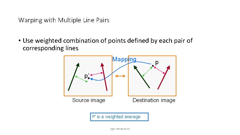 Warping with Multiple Line Pairs • Use weighted combination of points defined by each