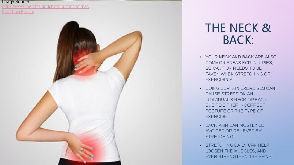 Image Source: https: //www. merrittislandchiropractor. com/bac k-and-neck-pain/ THE NECK & BACK: • YOUR NECK