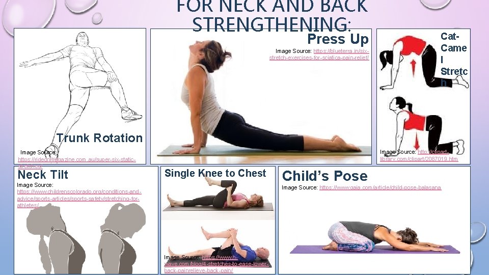 FOR NECK AND BACK STRENGTHENING: Press Up Image Source: https: //blueterra. in/sixstretch-exercises-for-sciatica-pain-relief/ Cat. Came