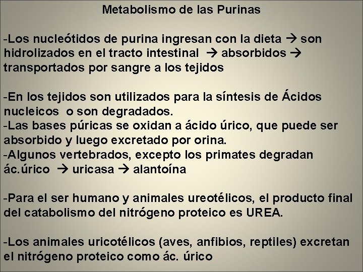 Metabolismo de las Purinas -Los nucleótidos de purina ingresan con la dieta son hidrolizados