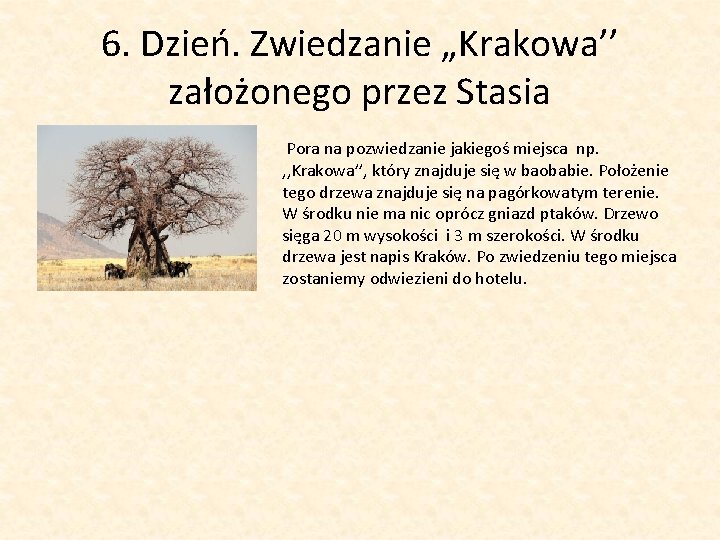 6. Dzień. Zwiedzanie „Krakowa’’ założonego przez Stasia • Pora na pozwiedzanie jakiegoś miejsca np.