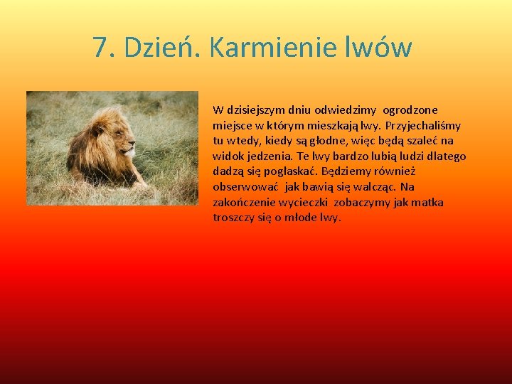 7. Dzień. Karmienie lwów W dzisiejszym dniu odwiedzimy ogrodzone miejsce w którym mieszkają lwy.