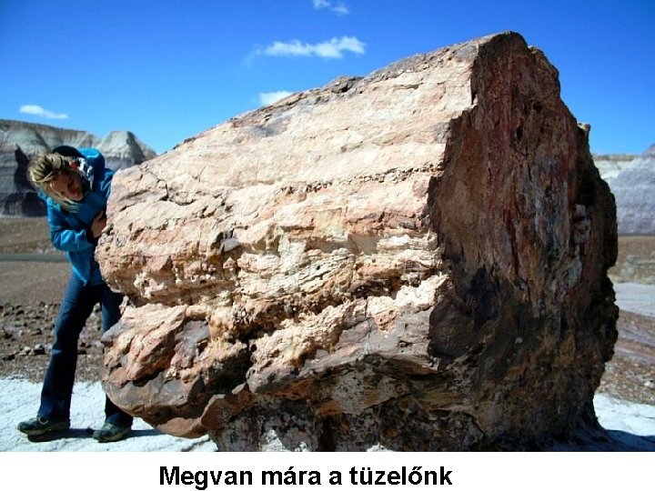 Megvan mára a tüzelőnk 